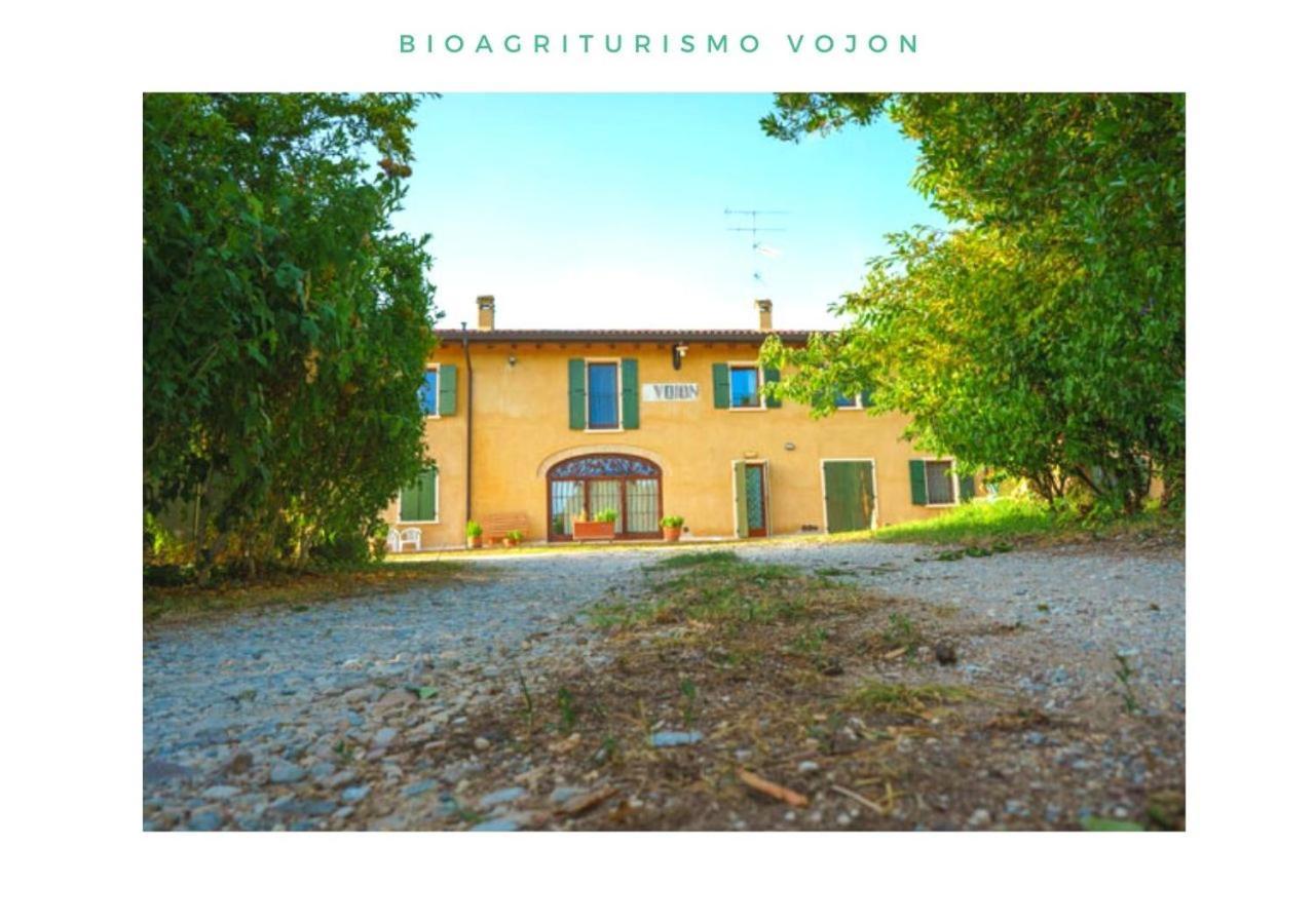 Bio Agriturismo Vojon Vila Ponti sul Mincio Exterior foto